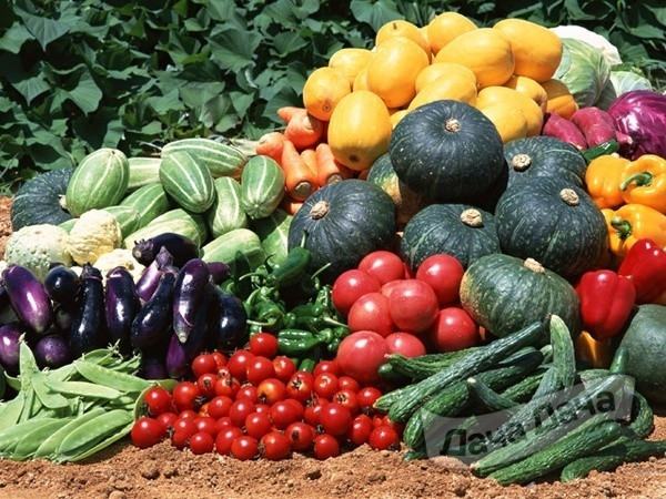 На Крокус Экспо идет выставка "Картофель и овощи" 