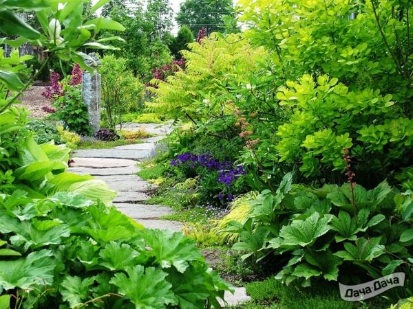 кустарн микс