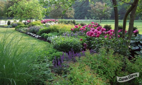 двусторонний миксбордер