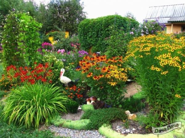 комбинированный микс