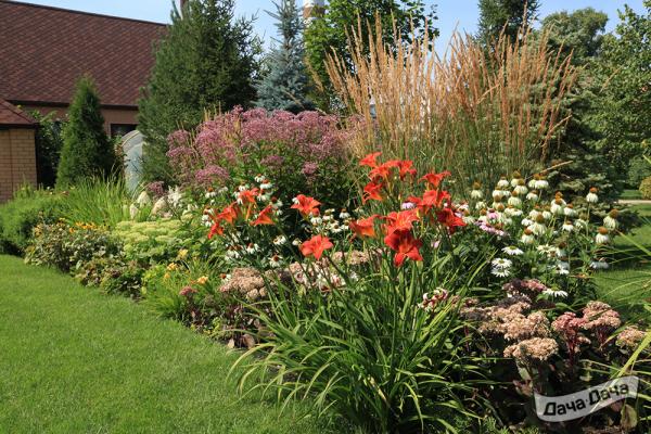 пасторальный миксбордер