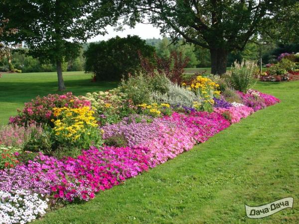 роскошный миксбордер