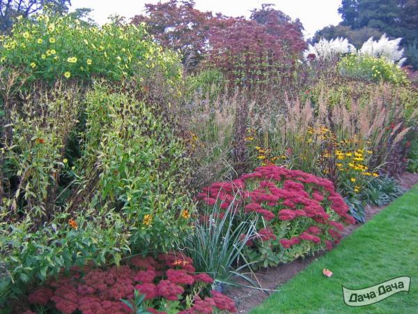 смешанный летне осенний