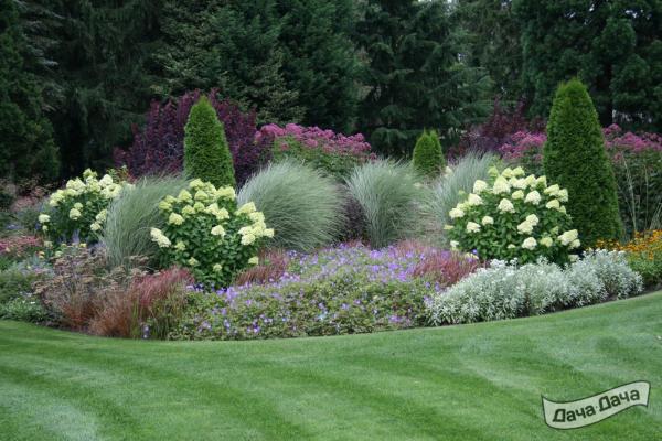 klumby iz mnogoletnikov 6 64