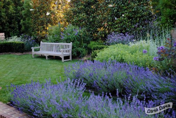 miksbordery idei v landshaftnom dizajne 47