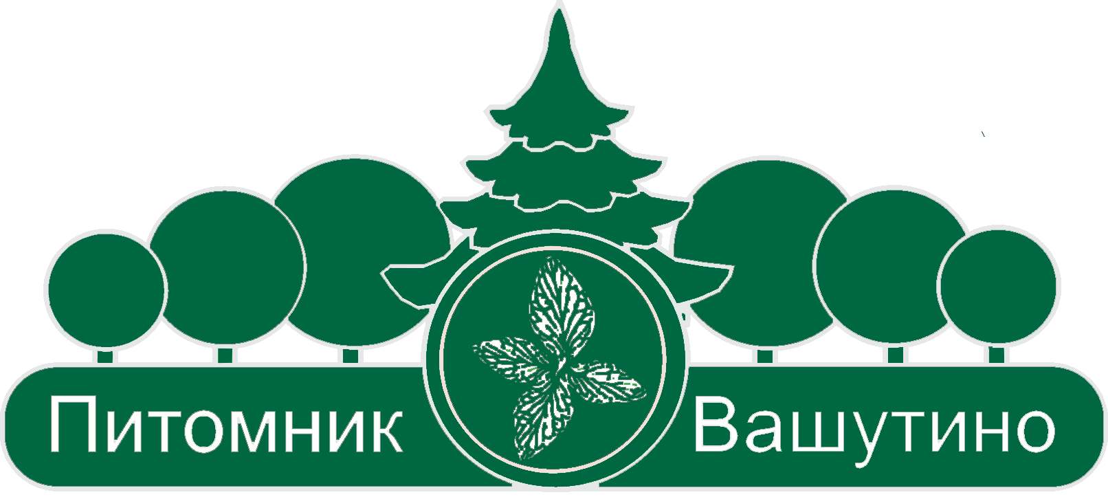 Питомник Вашутино  