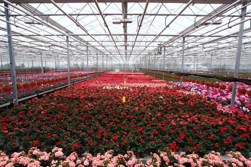 ГБУ Озеленение