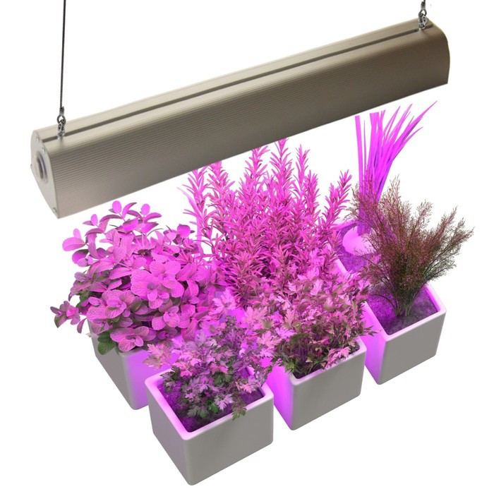 Лампы для рассады