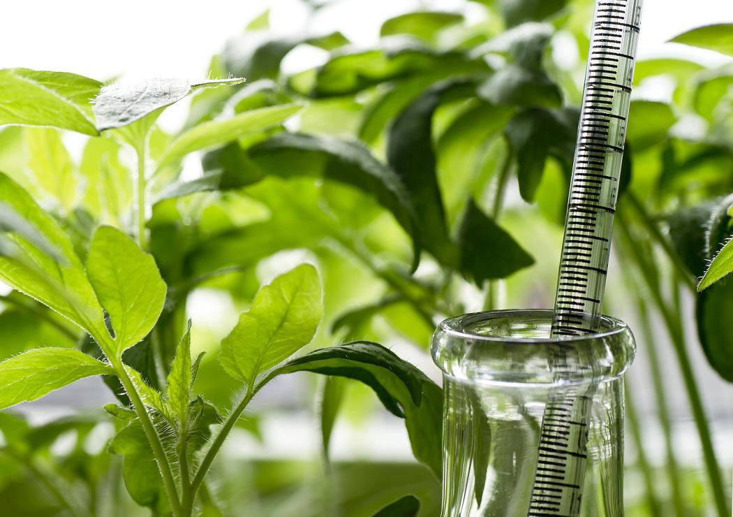 Биостимуляторы