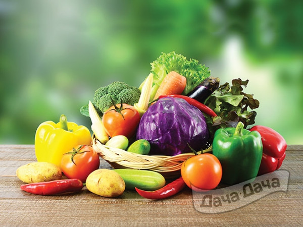 Цифровой провизор найдет плохой овощ