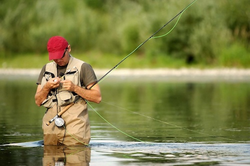 Как научиться ловить рыбу. Советы начинающим рыбакам