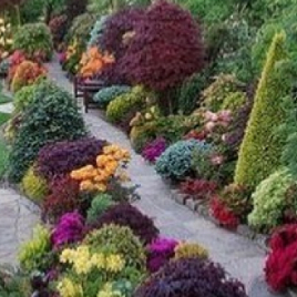 Двусторонний миксбордер