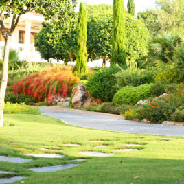 Кустарниковый миксбордер