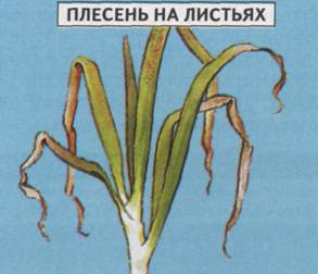 image020 17