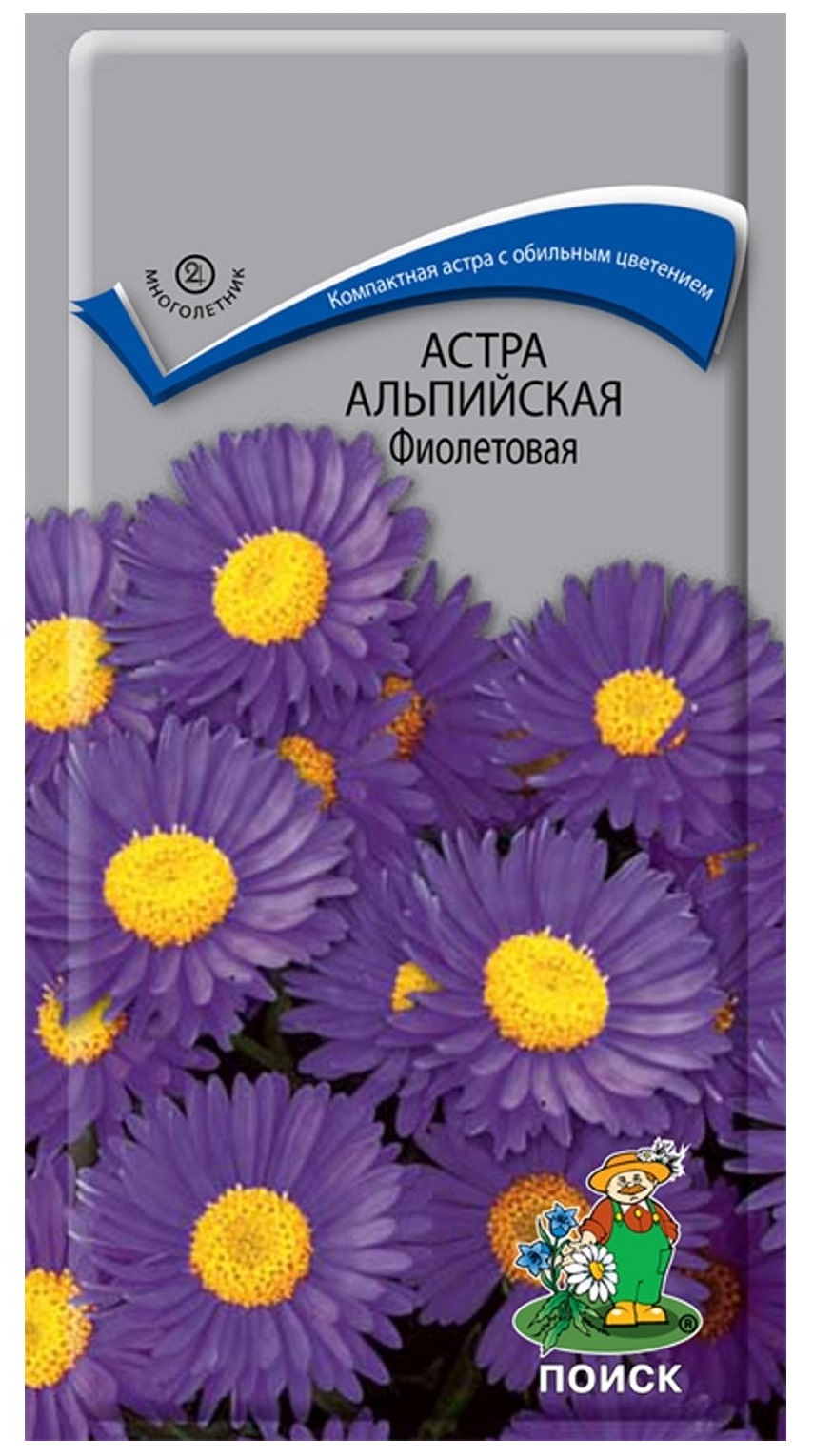 Семена Астра альпийская Фиолетовая,0,04г Поиск
