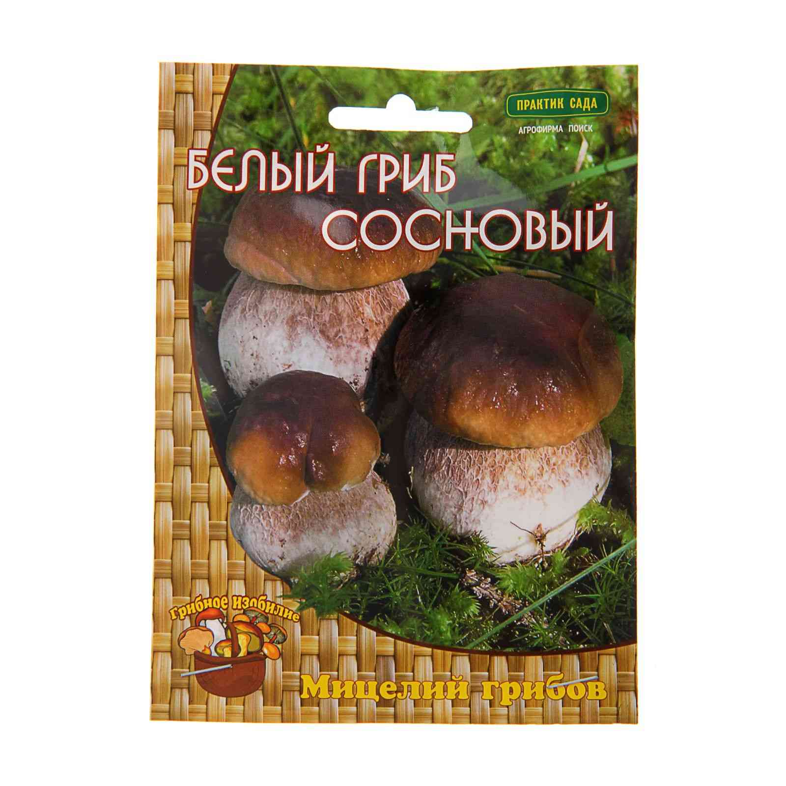 Мицелий грибов Белый гриб сосновый 60мл ЦО