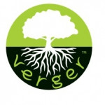 Питомник декоративных растений ВЕРГЕР