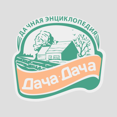 Купить бонсаи