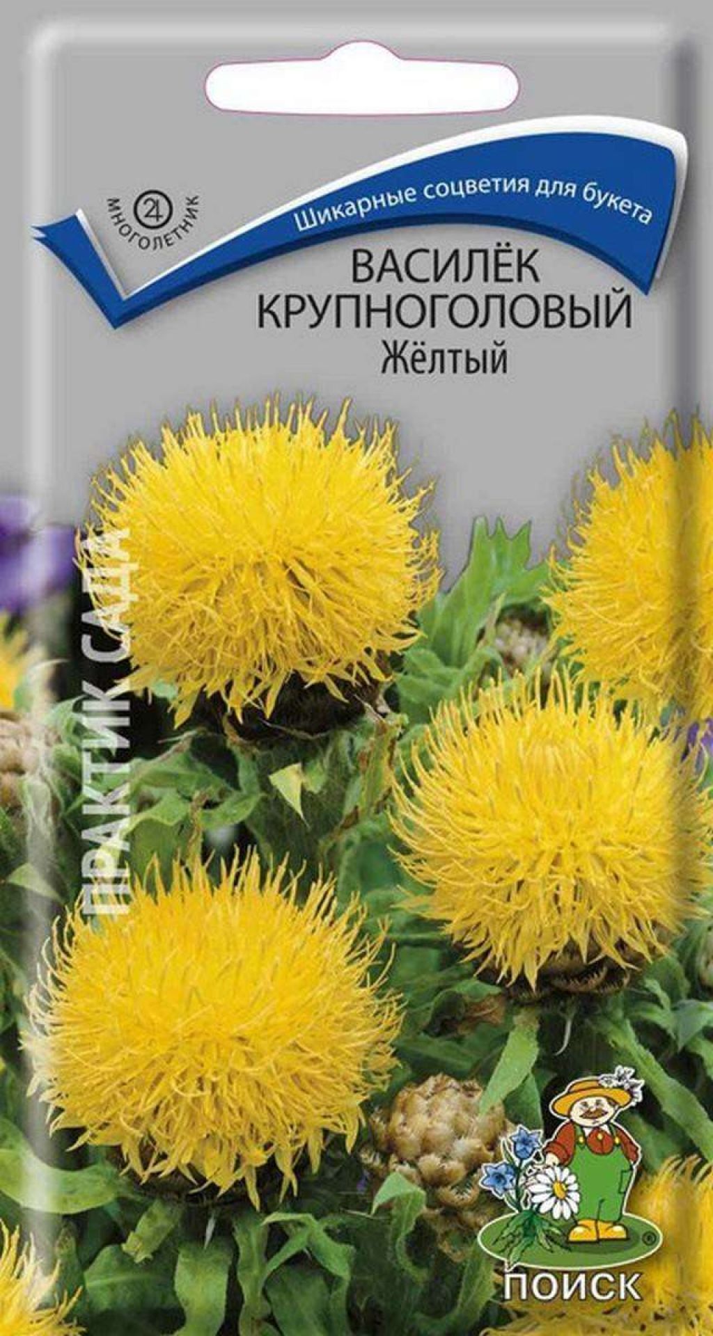 Купить рассаду васильков по цене от 23 руб. | ДАЧНАЯ ЭНЦИКЛОПЕДИЯ