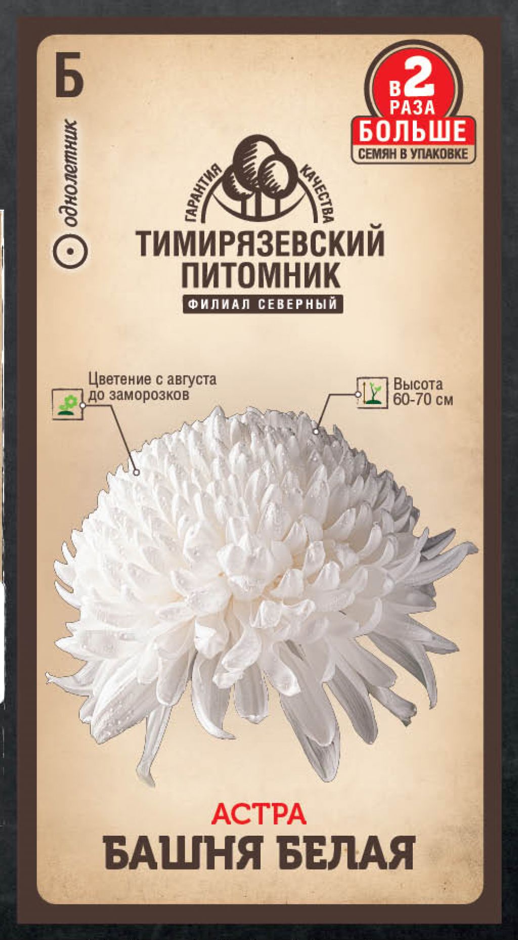 Купить многолетние астры от 9 руб. | ДАЧНАЯ ЭНЦИКЛОПЕДИЯ