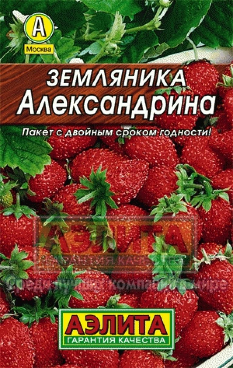 Выбрать и купить лучшие сорта земляники по цене от 15 руб. | ДАЧНАЯ  ЭНЦИКЛОПЕДИЯ