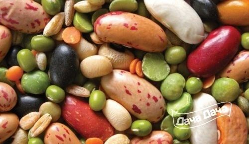 ispolzovanie-bobovyih-v-dietah