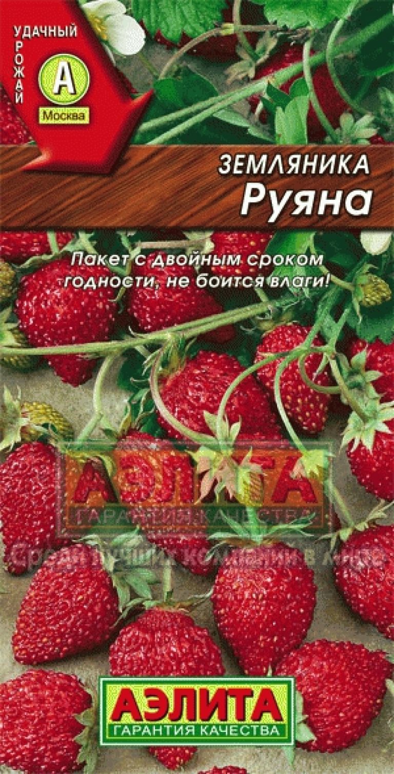 Выбрать и купить лучшие сорта земляники по цене от 15 руб. | ДАЧНАЯ  ЭНЦИКЛОПЕДИЯ