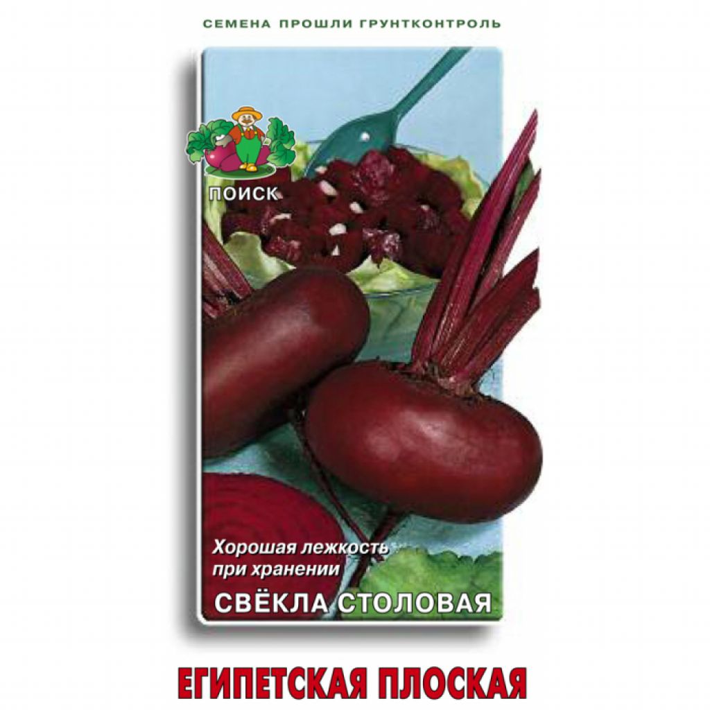 Как вырастить крупную свеклу: полив, подкормка и уборка