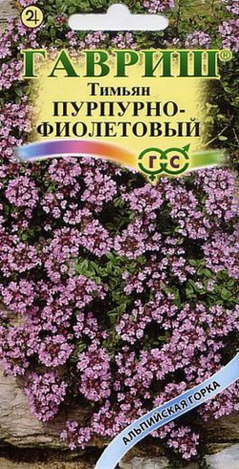 Купить Семена тимьян пурпурно-фиолетовый 0,05 г сер Альпийская горка Гавриш  в интернет-магазине «ДачаДача». Доставка и самовывоз в Москве и Московской  области.