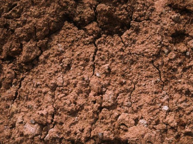 пескогрунт